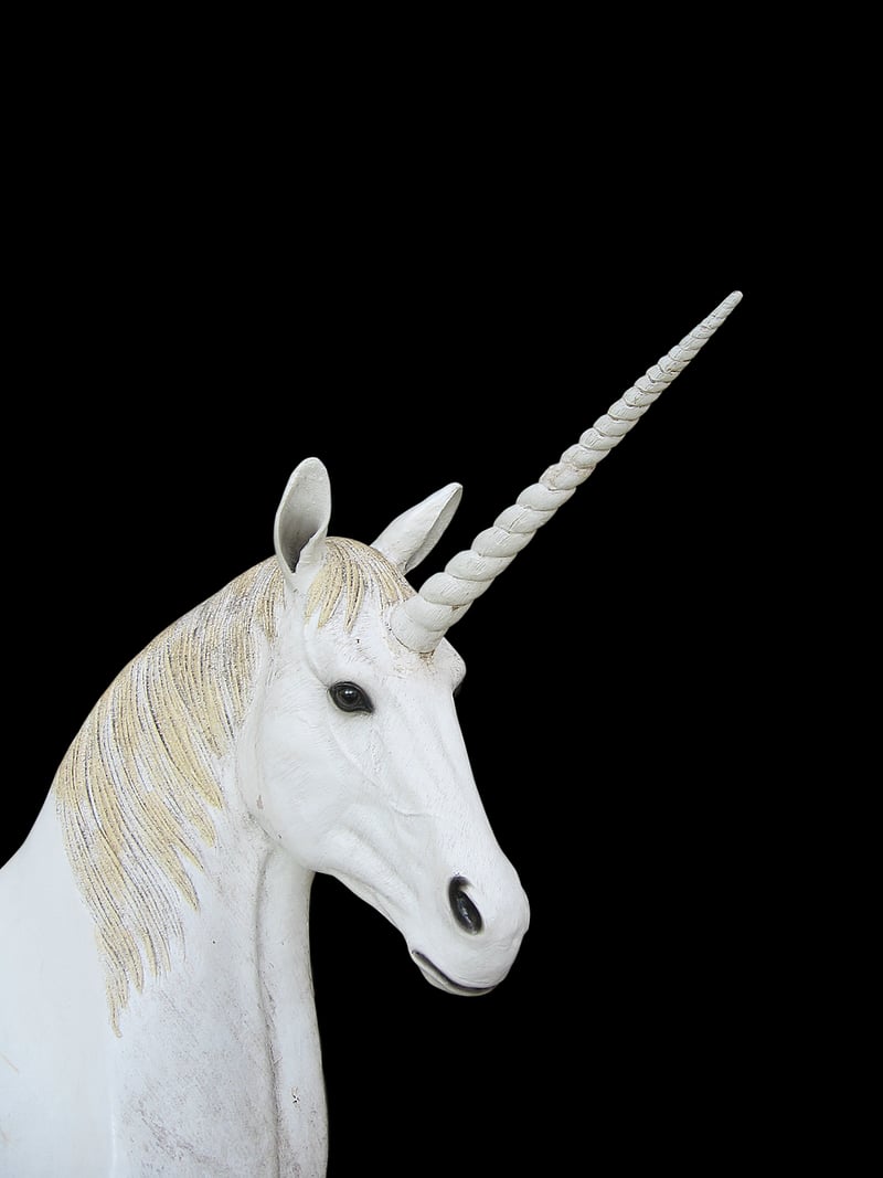 Unicorn Delicacies